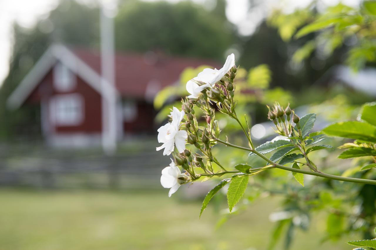 Modal Annex Hultsfred Buitenkant foto